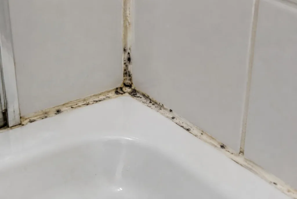 Kitbedrijf Noordwijk – beschimmelde kitranden